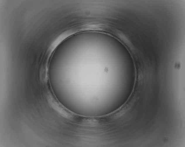 X0000112491370200908241315