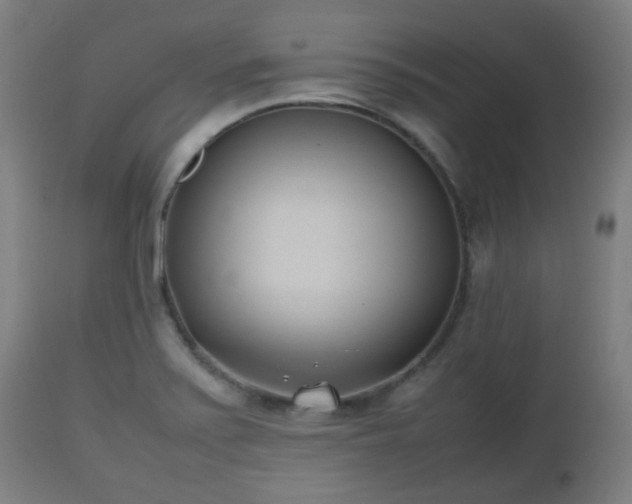 X0000112491371200908241315