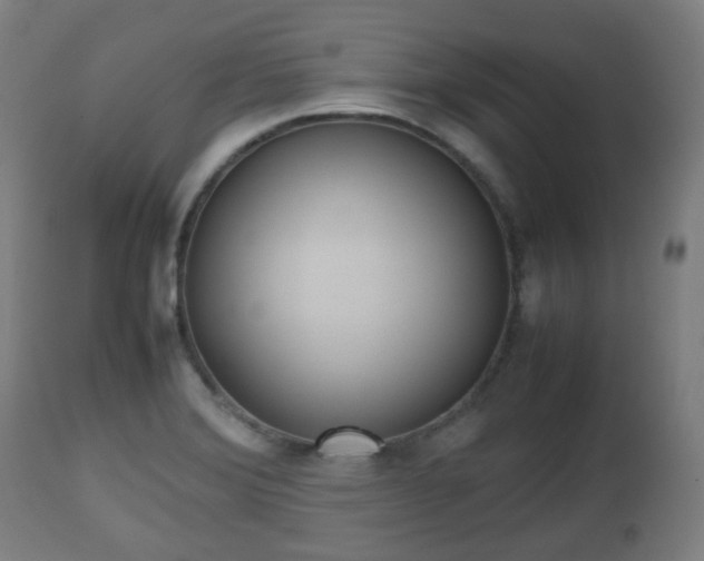 X0000112491372200908241315