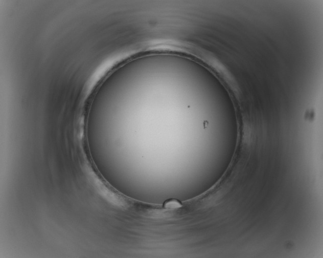 X0000112491376200908241315