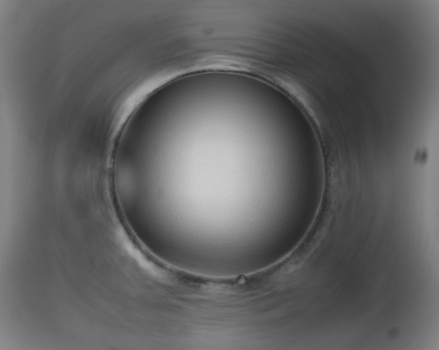 X0000112491379200908241315