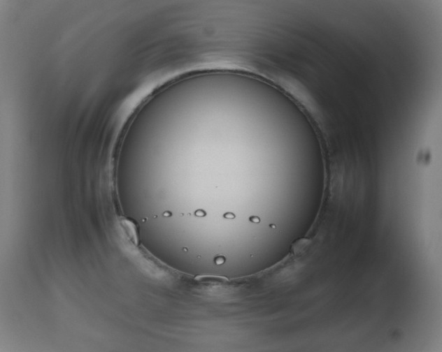 X0000112491380200908241315