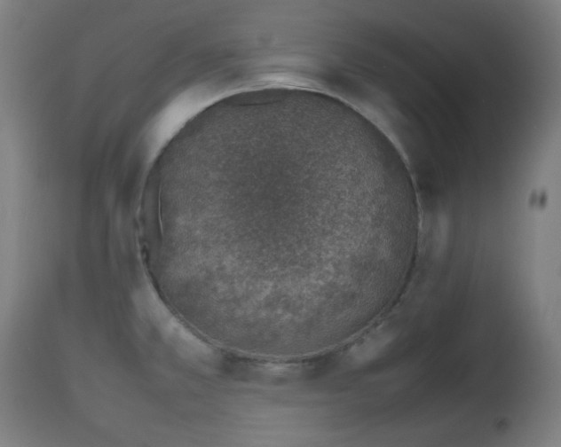 X0000112491381200908241315