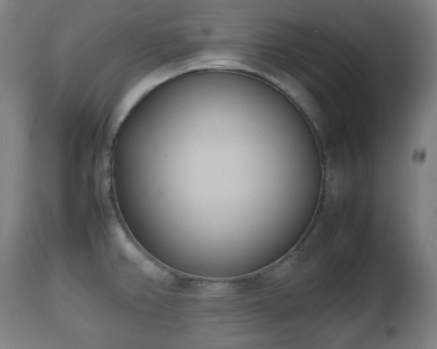 X0000112491382200908241315