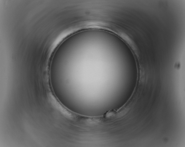 X0000112491384200908241315