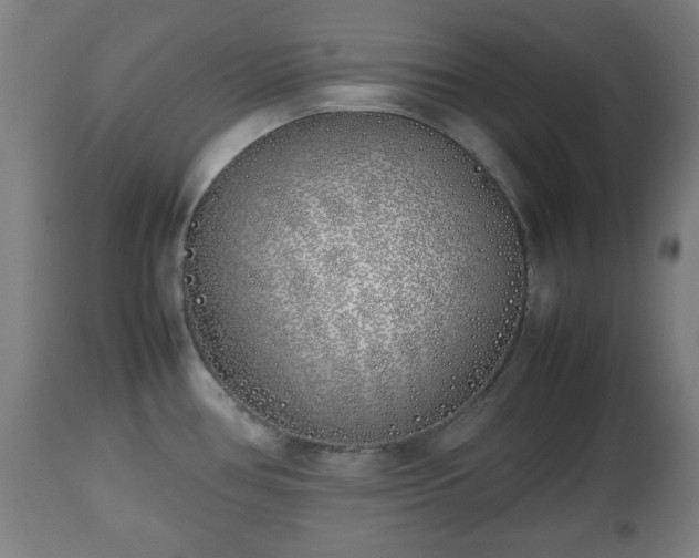 X0000112491386200908241315