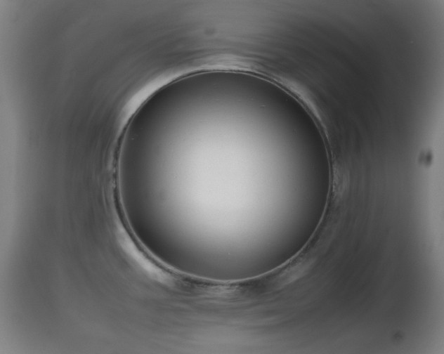 X0000112491387200908241315