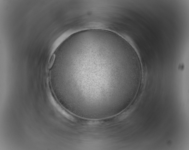 X0000112491389200908241315