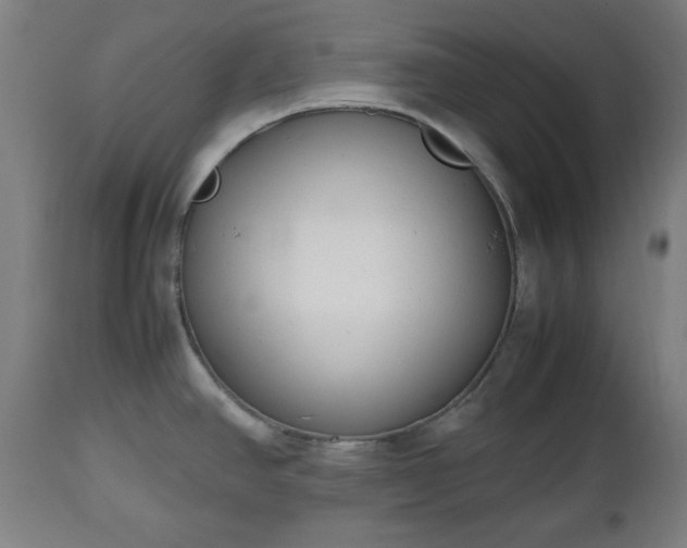 X0000112491390200908241315