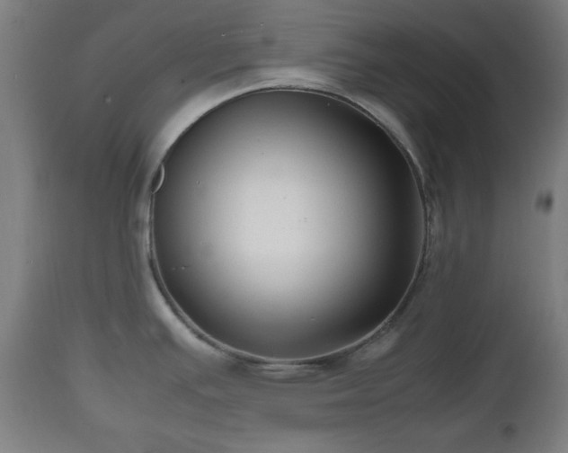 X0000112491391200908241315