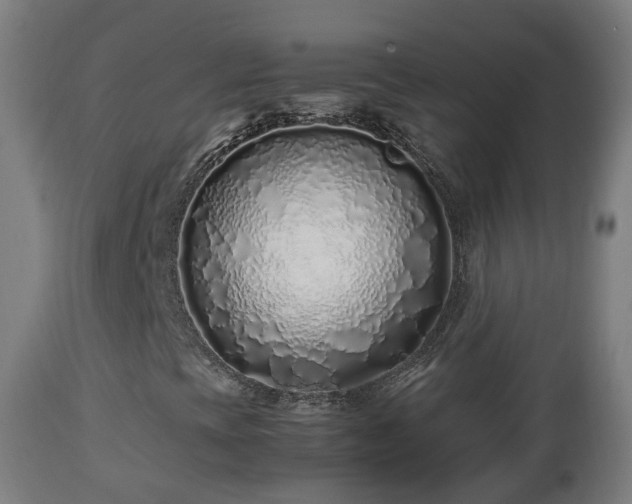 X0000112491393200908241314