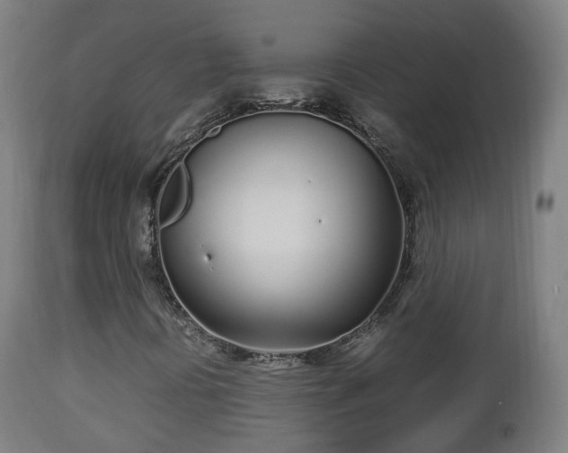 X0000112491394200908241314
