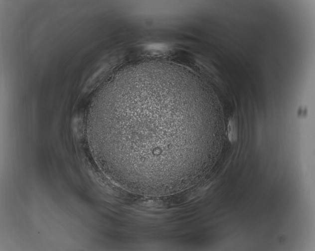 X0000112491395200908241314
