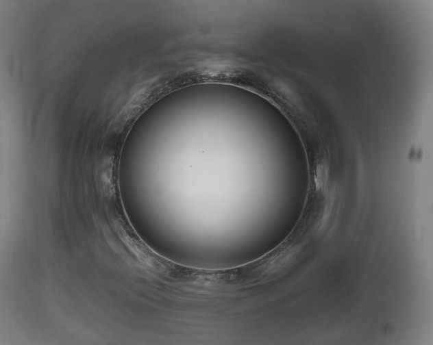 X0000112491396200908241314