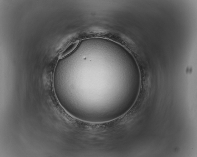 X0000112491397200908241314