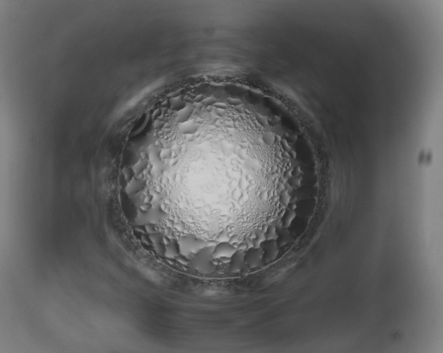 X0000112491399200908241314