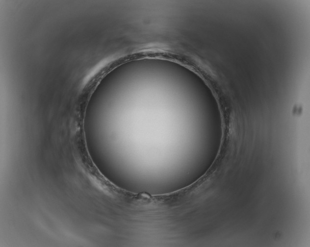 X0000112491400200908241314
