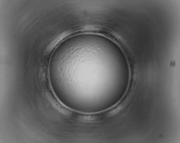 X0000112491401200908241314