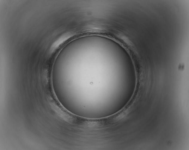 X0000112491402200908241314