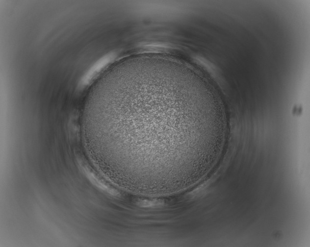 X0000112491403200908241314
