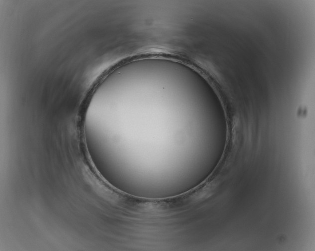 X0000112491404200908241314