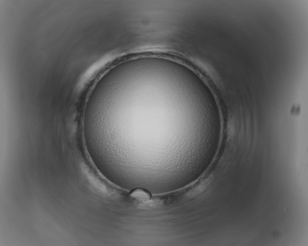 X0000112491406200908241314
