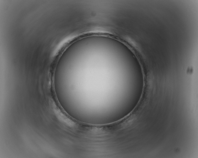 X0000112491408200908241314
