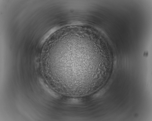 X0000112491409200908241314