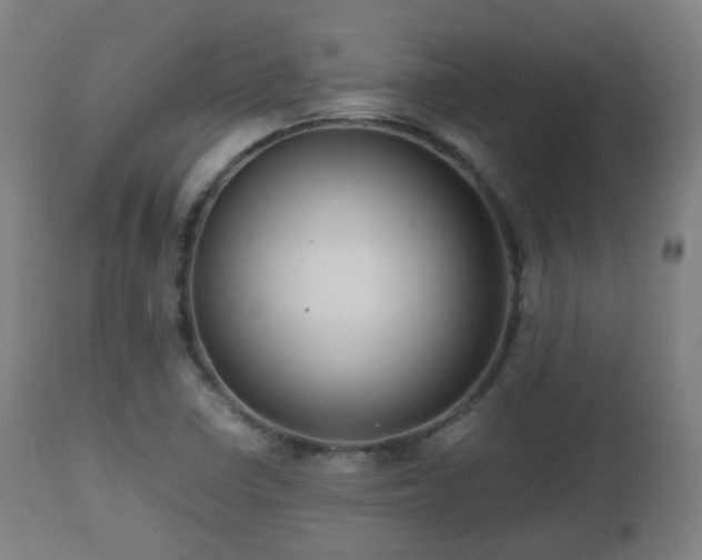 X0000112491410200908241314