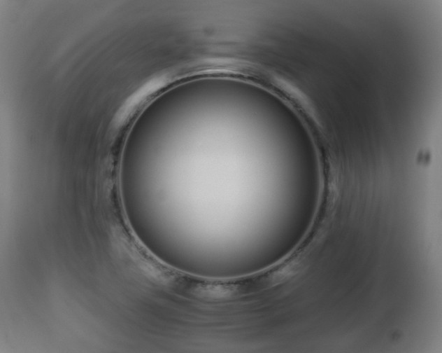 X0000112491411200908241314