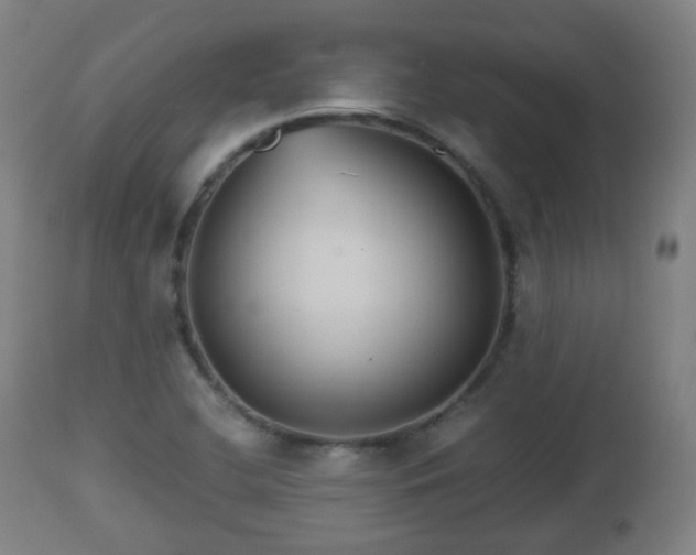 X0000112491412200908241314