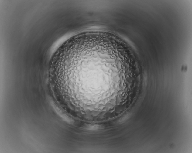 X0000112491413200908241314