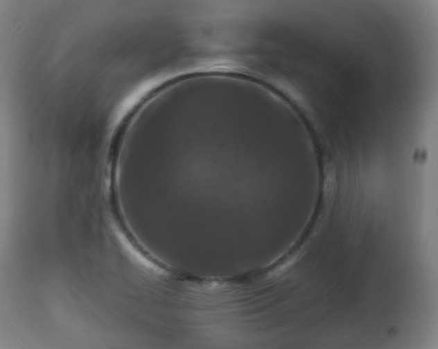 X0000112491414200908241314