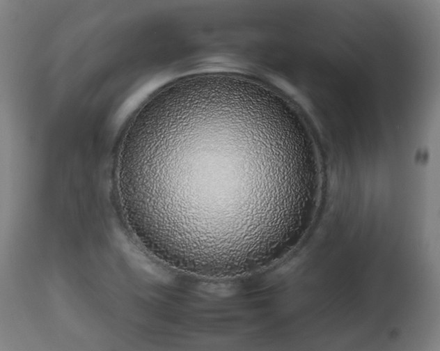 X0000112491415200908241314