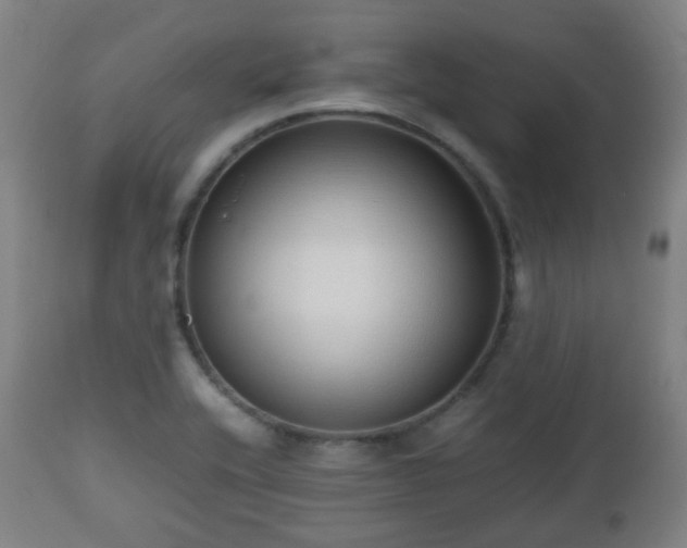 X0000112491416200908241314