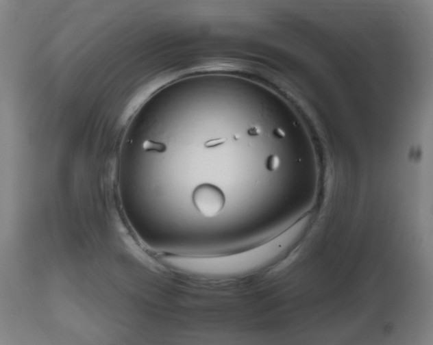 X0000112491417200908241314