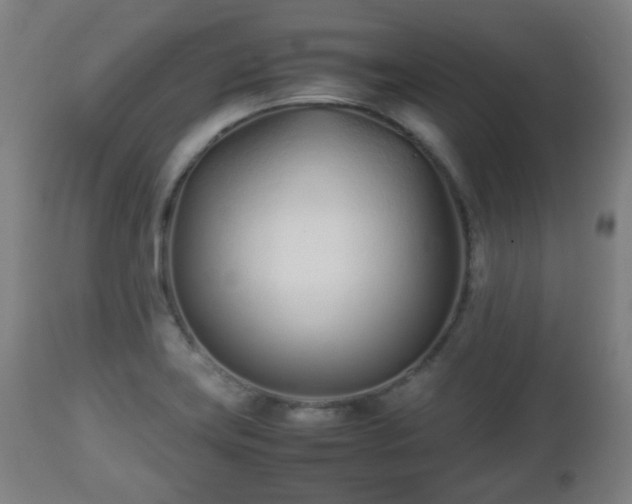 X0000112491419200908241315