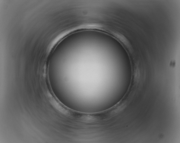 X0000112491420200908241315