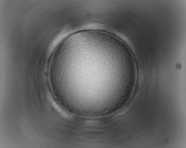 X0000112491421200908241315