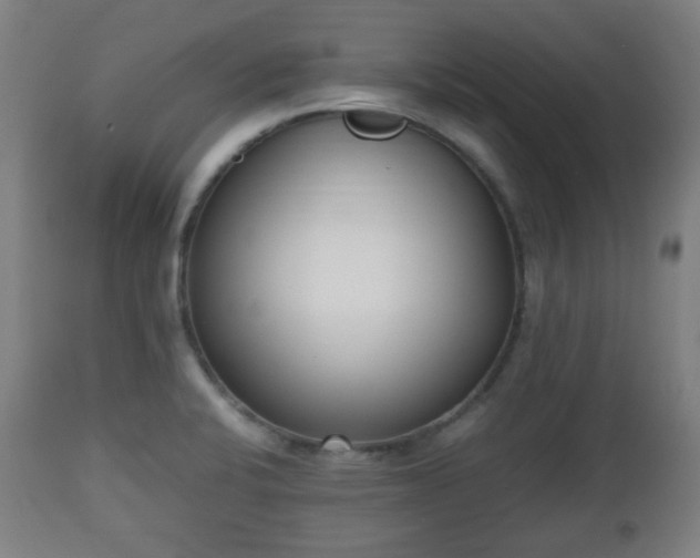 X0000112491424200908241315