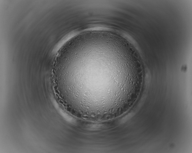 X0000112491425200908241315