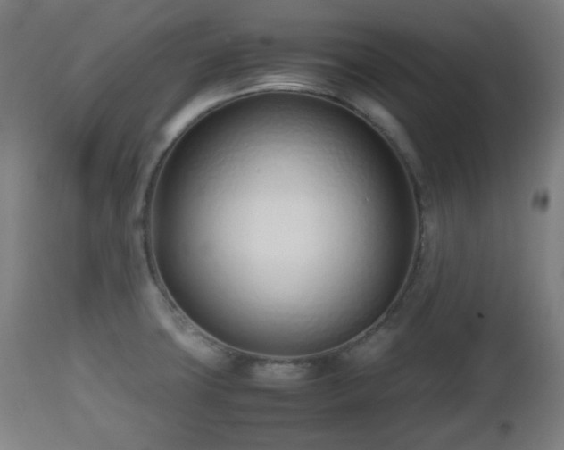 X0000112491427200908241315