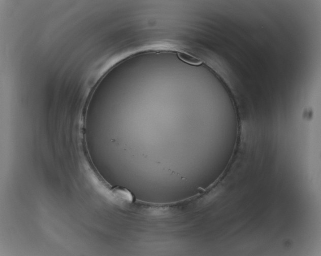 X0000112491428200908241315