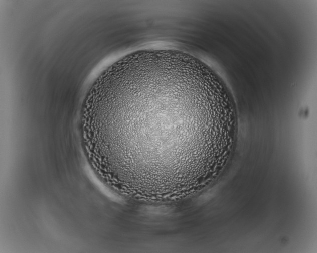 X0000112491429200908241315