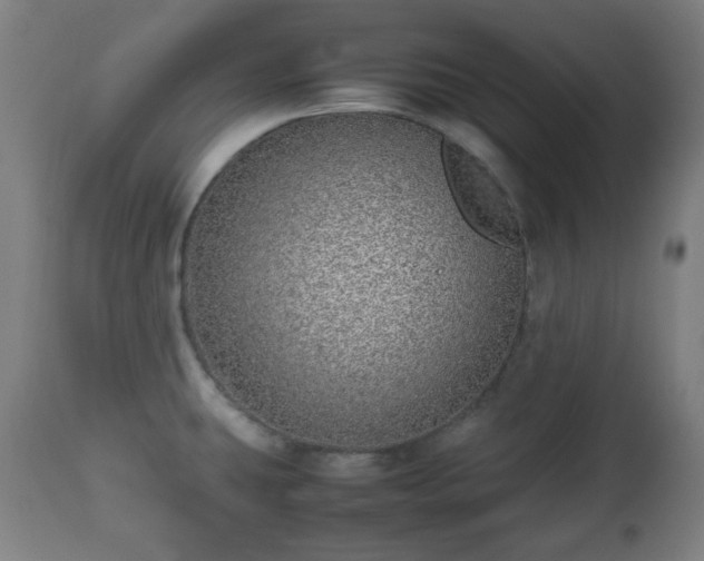 X0000112491431200908241315