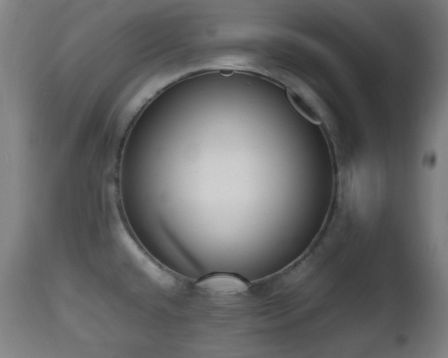 X0000112491432200908241315