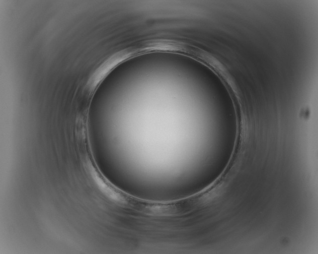 X0000112491433200908241315