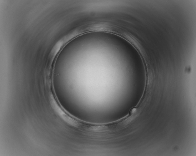 X0000112491434200908241315