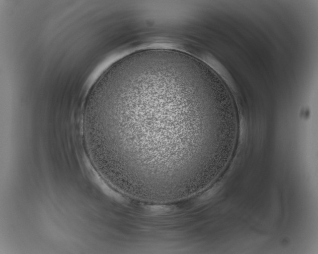 X0000112491436200908241315