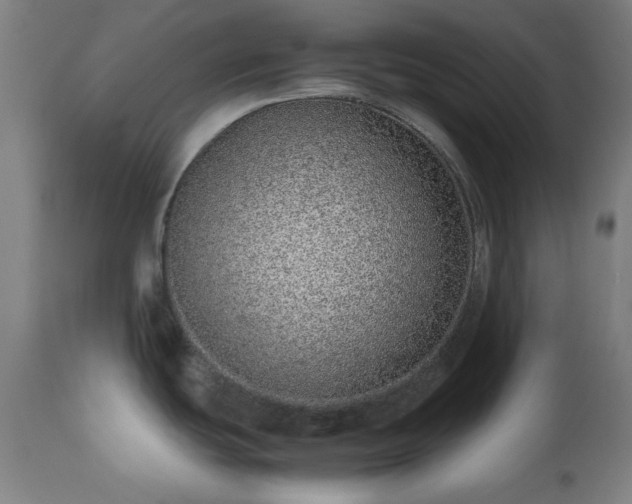 X0000112491439200908241315